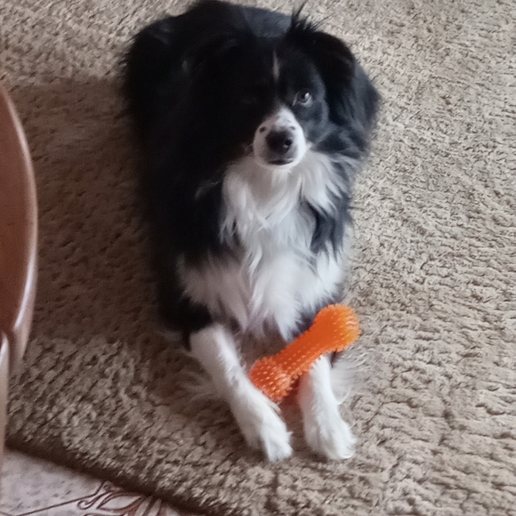 Meet your Posher, Annette - Picture 4 of 11